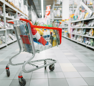 Grocery Shopping Carts